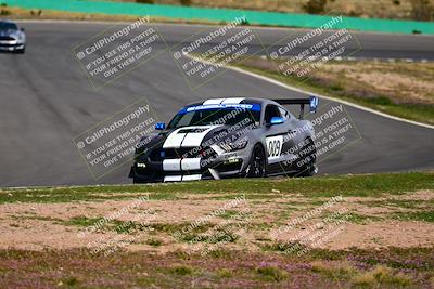 media/Feb-25-2024-Speed Ventures (Sun) [[b9a2a97a4d]]/Mustang Drivers Club/Session 3 (Turn 2)/